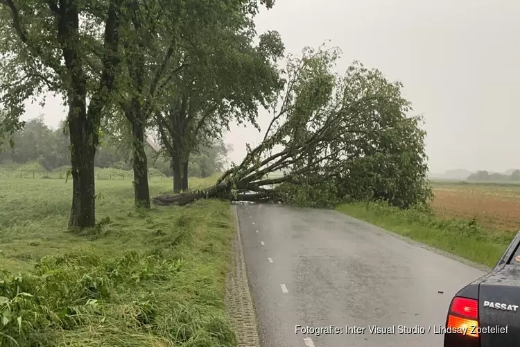 Boom op weg gewaaid en wegen afgesloten bij Anna Paulowna