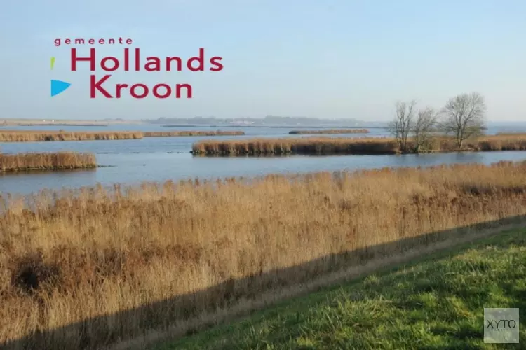 Veel zieke iepen in Hollands Kroon