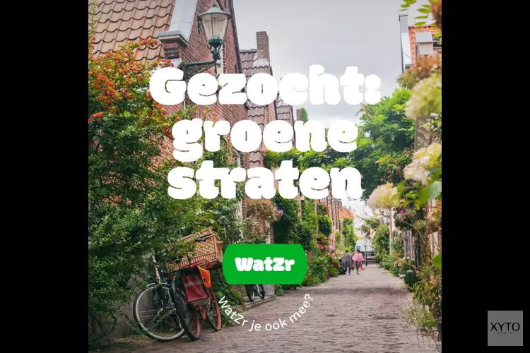 Groene Straten gezocht