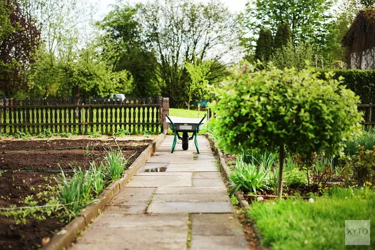 De tuin winterklaar maken is een eitje!