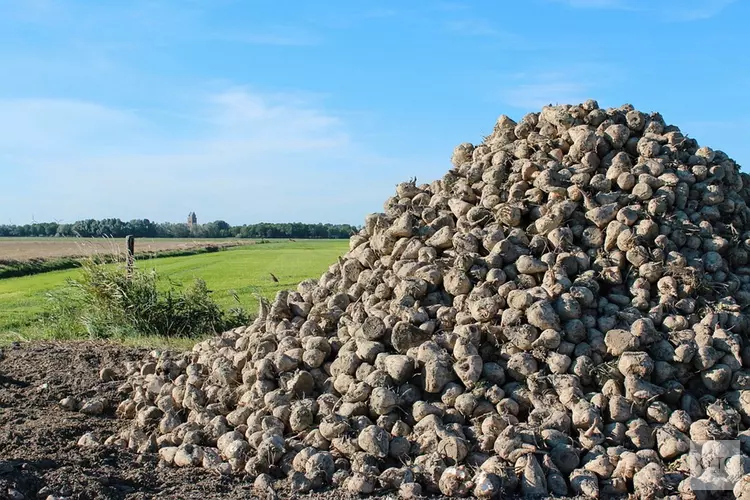 Subsidie beschikbaar voor duurzame agrariërs