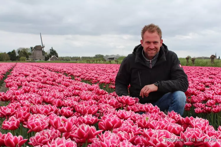 Boer Tom opent Tulpenkaasmarkt