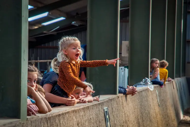 Paardrijvereniging de Wironruiters luidt 2023 grootst in