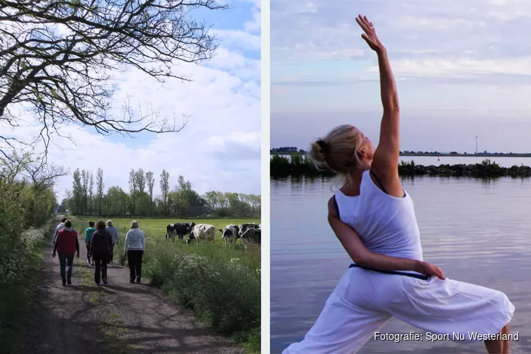 Zondag 12	februari, Yoga-Wandeldag op Wieringen