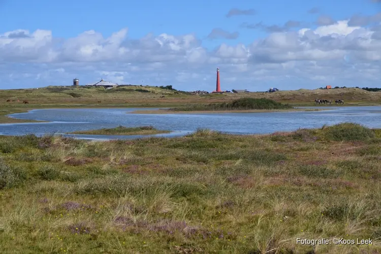 Speciale wandeling voor natuurfotografen