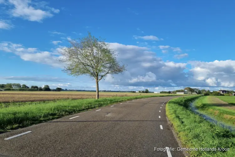 Hollands Kroon kiest voor een bredere aanpak van de iepziekte