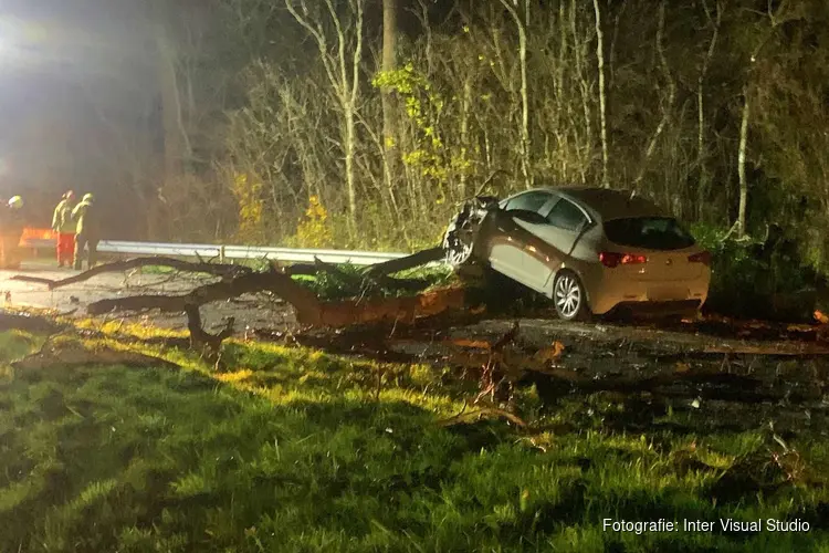 Automobilist rijdt tegen omgewaaide boom in Hippolytushoef