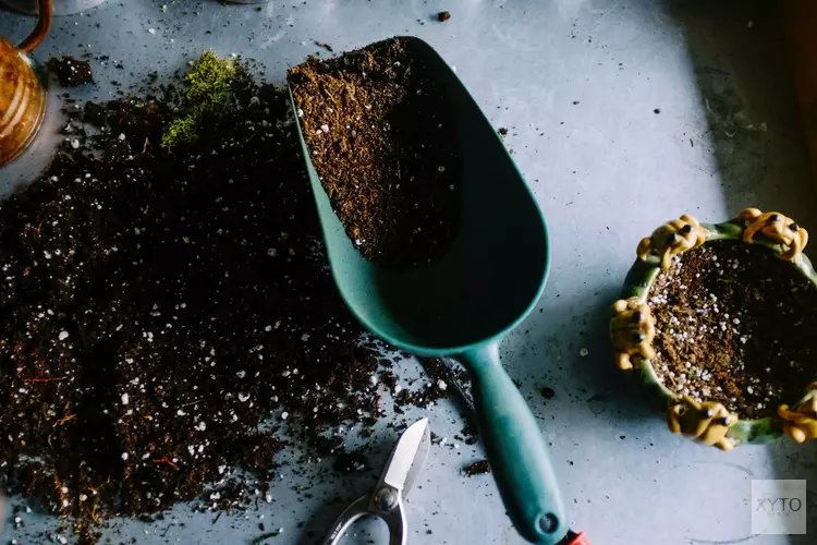 Voorjaarskriebels? Doe mee met de gratis workshop ‘Aan de slag met groen’