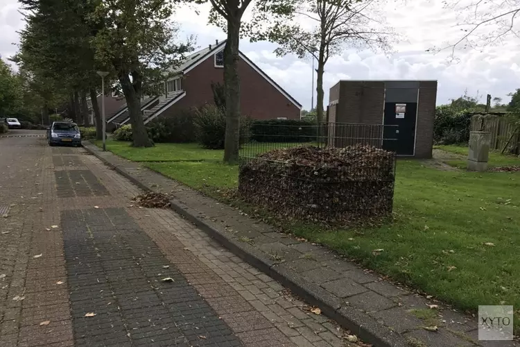 Bladkorven in Hollands Kroon