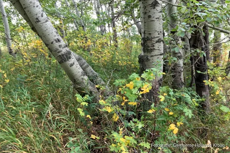 Kinderen en buurtbewoners planten Tiny Forest &#39;Het Wilde Boomgaardje&#39; in Nieuwe Niedorp