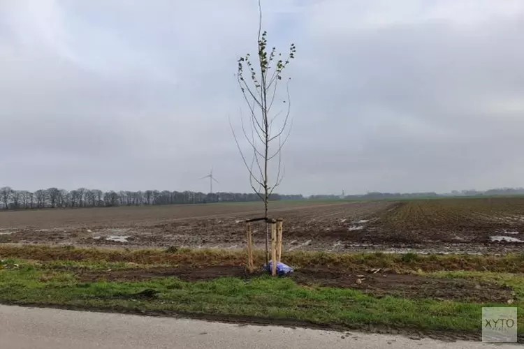 Planten bomen in volle gang