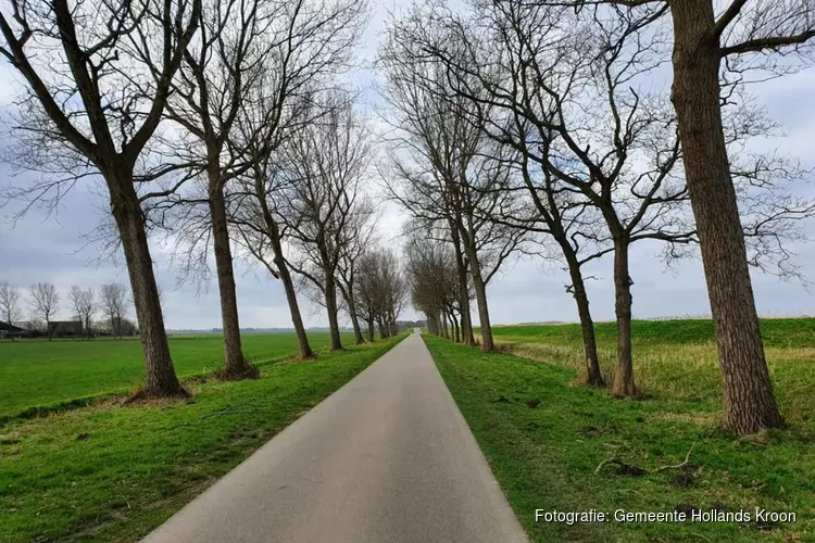 Firma Stoop start met verwijderen populieren langs Wieringerrandweg