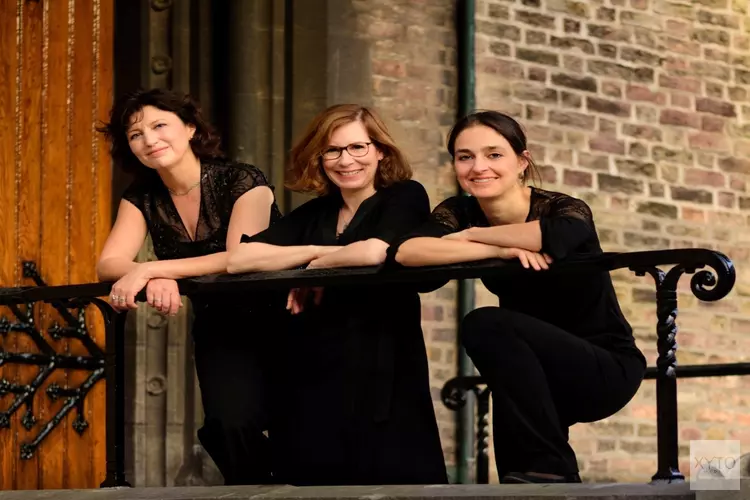 The Hague String Trio in Hippolytuskerk