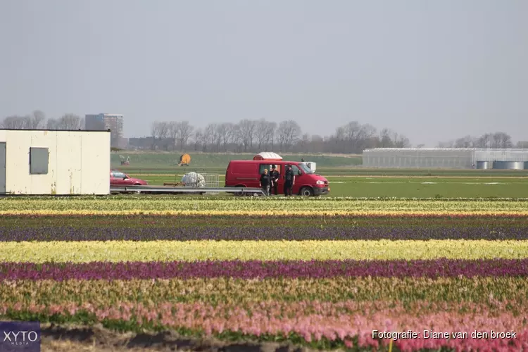 College Hollands Kroon wil veertig arbeidsmigranten onderdak bieden