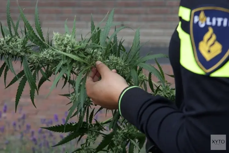 Burgemeester sluit drugspand